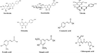 Biogenic Synthesis and Characterization of Antimicrobial and Antiparasitic Zinc Oxide (ZnO) Nanoparticles Using Aqueous Extracts of the Himalayan Columbine (Aquilegia pubiflora)